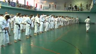 Masao Kawasoe Sensei Seminar 2013 part 2 [upl. by Garretson]