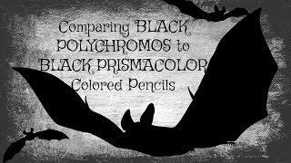 Polychromos or PrismaWhich Is the Blackest Black [upl. by Torray]